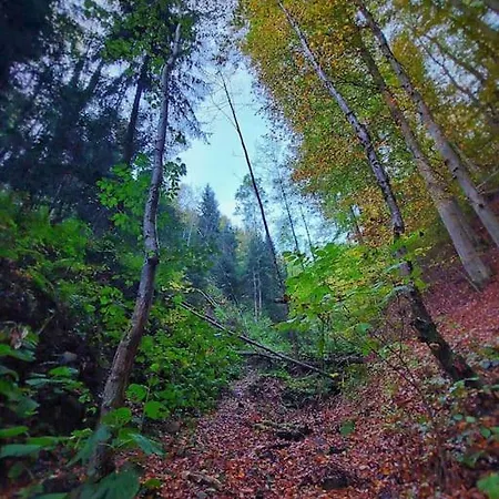 Διαμέρισμα Wohnen Im Gruenen *