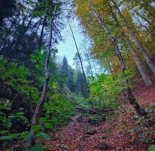 アパート Wohnen Im Gruenen *